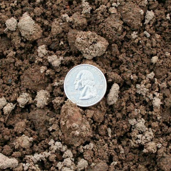 Borrow / Common Fill Elm City Materials Inc.