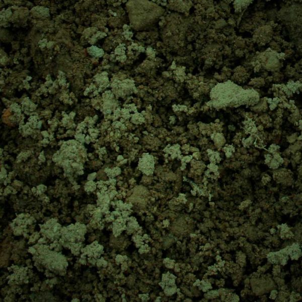 Borrow / Common Fill Elm City Materials Inc.