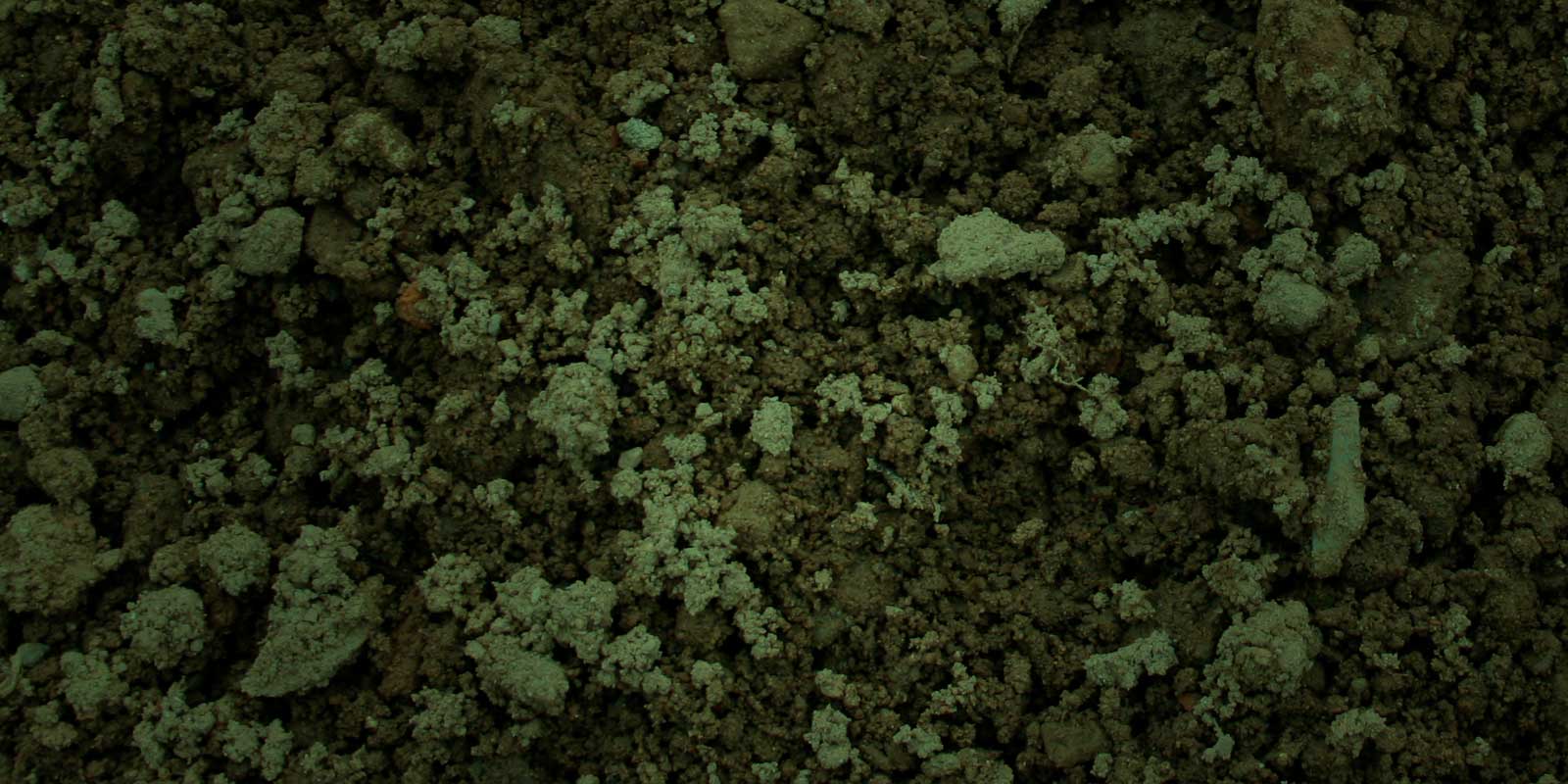 borrow-common-fill-banner borrow common fill banner